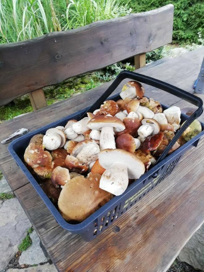 Chata Venda Lipno nad Vltavou Dış mekan fotoğraf