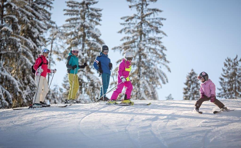Chata Venda Lipno nad Vltavou Dış mekan fotoğraf